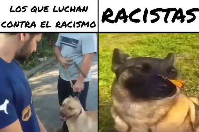 Racistas Meme Subido Por Engel98 Memedroid