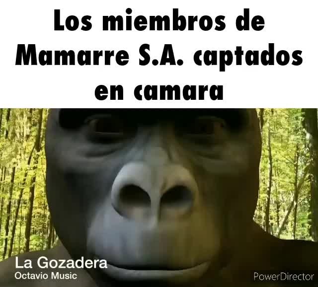 Los De Mamarre Se La Comen Subido Por Haida Desde El Servidor