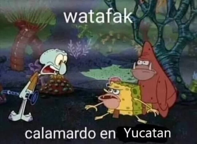 Yucatan Meme Subido Por Nicolas Leabanner Memedroid