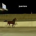 Juan lore