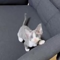 commented item thumbnail