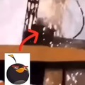 commented item thumbnail