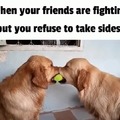 When your friends are fighting