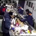 Worker saves kitten from trash cutting machine