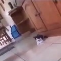 commented item thumbnail