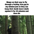 Fucking wasps