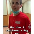 This guy swallowed a dog's toy.