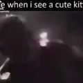 When i see a cute kitty