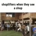 Ladrões de lojas quando veem uma loja