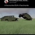 Animais da liberdade