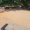 commented item thumbnail