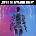 After leg day