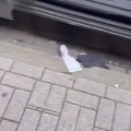 commented item thumbnail