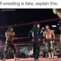 Real wrestling