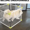 Become Ungovernable