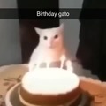 Nadie fue a su cumpleaños
