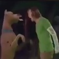 Shaggy about to FATALITY Scooby
