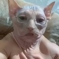 commented item thumbnail