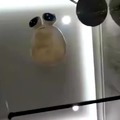 commented item thumbnail