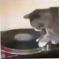 Gato con música de Mario Bros