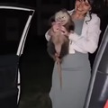commented item thumbnail