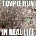Temple run no lo creo