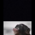 commented item thumbnail