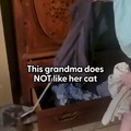 Grandma and the cat