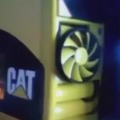 PC gamer cat