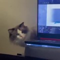 commented item thumbnail