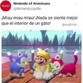 Nintendo furro puto