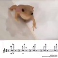 musical froge :)