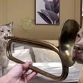 Cat trumpet