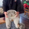 commented item thumbnail