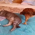commented item thumbnail