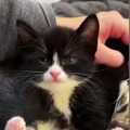 commented item thumbnail