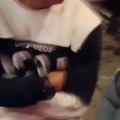 commented item thumbnail