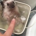 warm bath