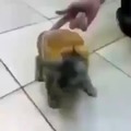 commented item thumbnail