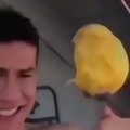 Mango On A Fork AAA