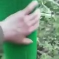 commented item thumbnail