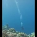 Earthquake underwater