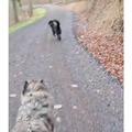 commented item thumbnail