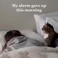 My alarm