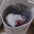 commented item thumbnail