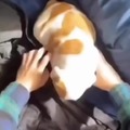 commented item thumbnail