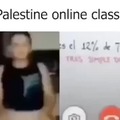 Clases palestinas online