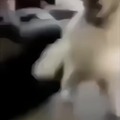 commented item thumbnail