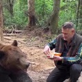 Apart from bear refusing to eat a Big Mac, I have so many questions
