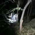 commented item thumbnail